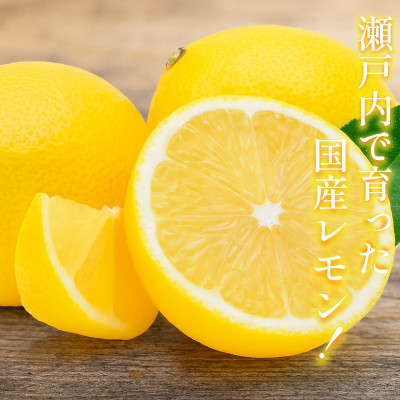 【宗方印】【数量限定】レモン 約1.5kg(家庭用) 【K003620K1.5】