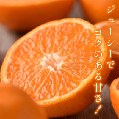 【宗方印】【数量限定】温州みかん 約3kg(家庭用)【K003650K3】