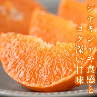 【宗方印】【数量限定】甘平 約1.5kg(家庭用) 【K003630K1.5】