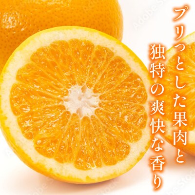 【宗方印】【数量限定】八朔 約3kg(家庭用) 【K003640K3】