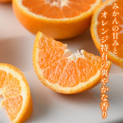 【宗方印】【数量限定】はれひめ 約3kg(家庭用) 【K003590K3】