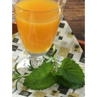 「島育ち」柑橘ジュース500ml× 6本セット[3種類 各2本ずつ](丸大青果　大三島町)【B71】