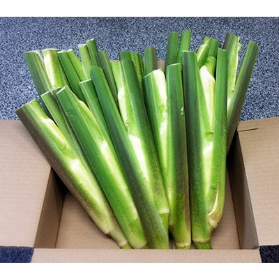 しまなみ野菜と果物セット(おまかせ)【C89】【配送不可地域：離島】