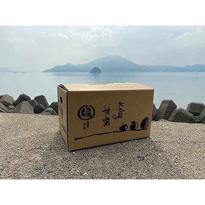 ホリ田ヤの甘平2.5キロ　ホリ田ヤのみかんの中で最高峰の甘さを誇る逸品【KB00820】