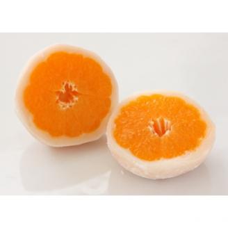 一福百果の柑橘大福食べ比べ10個入り【VB02280】【配送不可地域：離島】