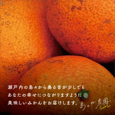 【訳あり】先行受付 島のね農園のまどんな(5kg)【KB01620】