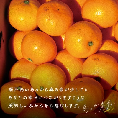 【先行受付】島のね農園 みかん5kg【KB01630】