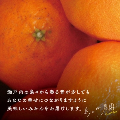 【先行受付】(訳あり)島のね 甘平(4kg)【KB01600】