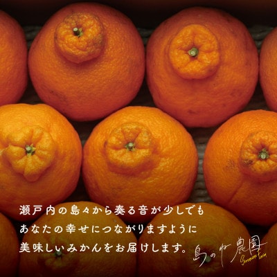 【プレミアム】島のね不知火デコ(4kg)【KB01590】