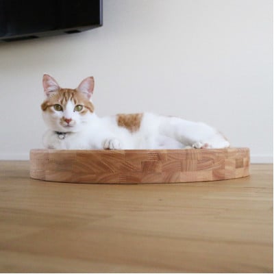 ネコマル/丸型ペット用ベッド【VE00830】