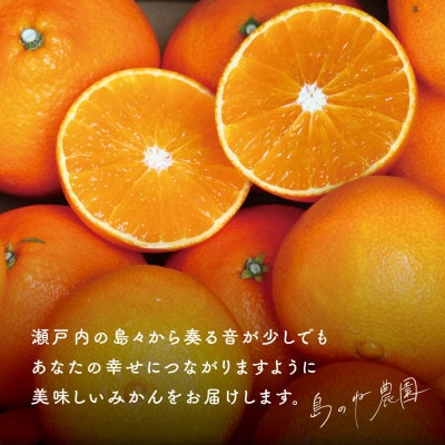 【島のね農園ブランド】先行受付 島のねまどんな(4kg) 【K001620】