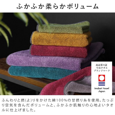 (今治タオル)日本の伝統色　フェイスタオル2枚セット＜納戸色×生壁色＞【IB05260FT2B】