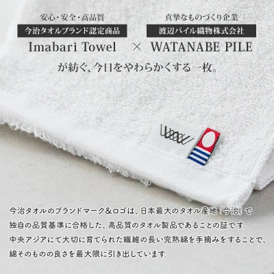 (今治タオル)しっかりサマルカンドフェイスタオル 2枚 オフホワイト【IA05290FT2OW】