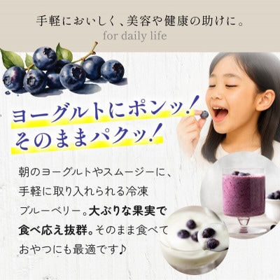 冷凍ブルーベリー(スタンディングパック)150g×3パック [VB00780]【配送不可地域：離島】