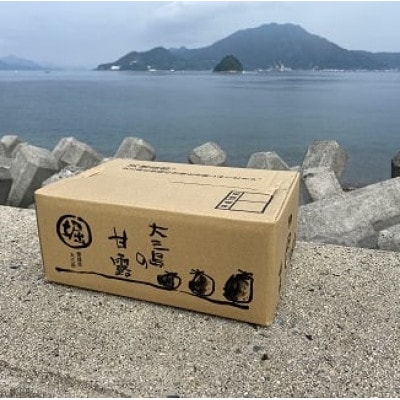 【先行予約】ホリ田ヤ 島育ち 早生みかん 4キロ【KB00940】