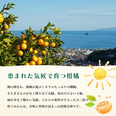 【先行予約】【数量限定】ホリ田ヤ せとか 2.5kg【K002420】