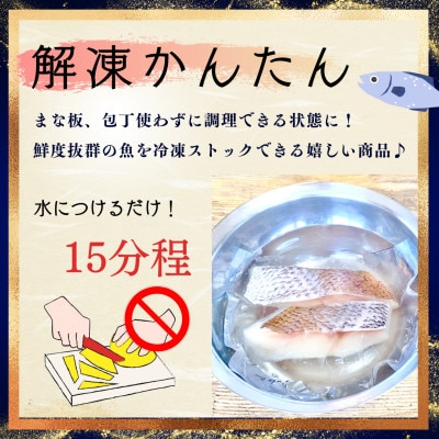 天然真鯛と季節の骨抜き切り身(10切れ)【V001720】【配送不可地域：離島】