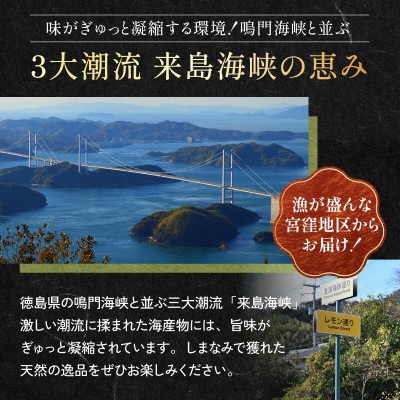 【村上水産】今治産しまなみひじき 2袋セット [V002510SET2]