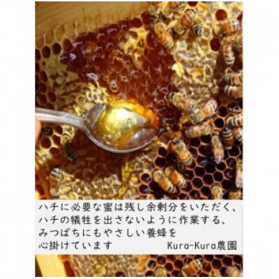 はちみつ450g 1瓶 Kura-Kura農園[V001330]