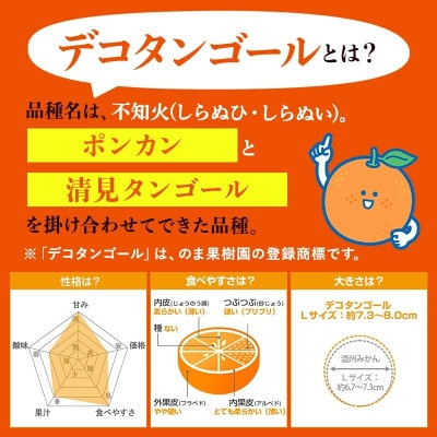 のま果樹園のデコタンゴール(1kg)[K003680K1]