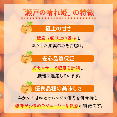 【先行受付】JAおちいまばり 瀬戸の晴れ姫(はれひめ)4kg、12月～1月に発送