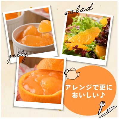 【先行予約】デコポン 3L～L 18～24玉 不知火 国産 柑橘 KB02510