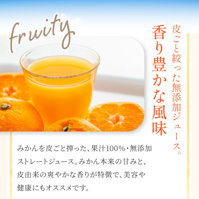 宗方印のみかんジュース 3本セット【B66】