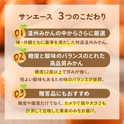 【先行受付】特選 ブランド温州みかん「サンエース」4kg 高糖度 みかん KB02210【配送不可地域：離島】
