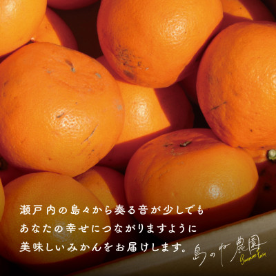 【島のね農園ブランド】(訳あり)島のね せとか(4kg)【KB01610】