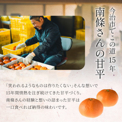 【先行予約】マルハ　甘平　4L～2L　8～12玉　2026年1月中旬頃から順次発送【K002030】【配送不可地域：離島】