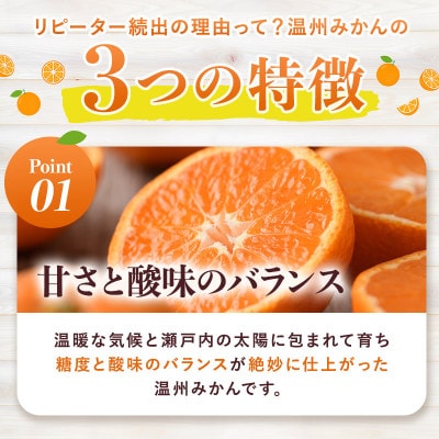 【先行予約】温州みかん 10kg L~Sサイズ　JA選果品【KC00760】