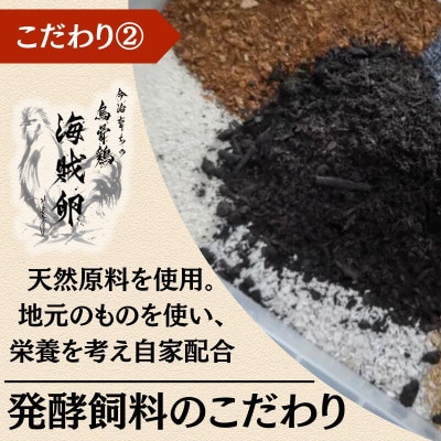 【毎月定期便】【愛媛産】海賊卵【烏骨鶏卵】12個【VE00840】全6回【配送不可地域：離島】