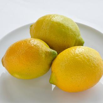 【先行受付】レモン 10kg　国産 きれい おいしい KC00790【配送不可地域：離島】