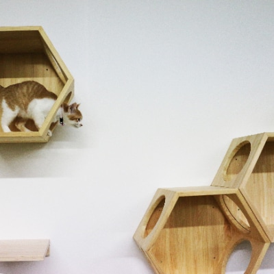 ネコロク(国産ヒノキのキャットステップ)【E-57】