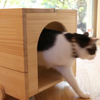 ネコトラ(トラック型ペットハウス)【E61】