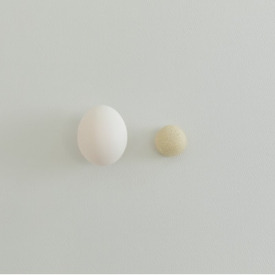 鶏卵饅頭　48個入 【VB01290】