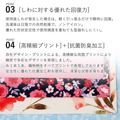 smachi(スマチ) ノンアイロンハンカチ レディース 2枚 Bセット【VB01452】