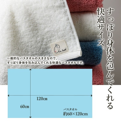 エアーかおる　ダディボーイ　バスタオル　2枚　コーラルピンク【I002240BT2CP】