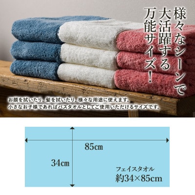 エアーかおる　ダディボーイ　フェイスタオル　6枚　コーラルピンク【I002220FT6CP】