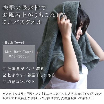 (今治タオル)ホテルズ　ミニバスタオル6枚《クラウドブルー》ヒオリエ【I001910MBT6CB】