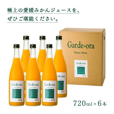 のま果樹園のみかんジュース「ガーディ・オレ・スペシャル」720ml×6本【V003030SET6】