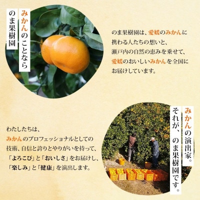 のま果樹園の飲むゼリー「柑橘の雫」みかん 175g×8個【V003040SET8】