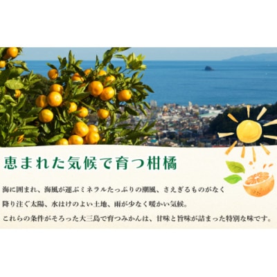 【先行予約】ホリ田ヤ 島育ち 早生みかん 4キロ【KB00940】