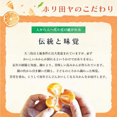 【先行予約】【数量限定】ホリ田ヤ でこかん 2.5kg【K002430】
