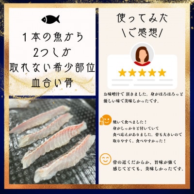 さかなやのまかない食材【愛媛の真鯛】生食用切り落とし1パック付き【V001740】【配送不可地域：離島】