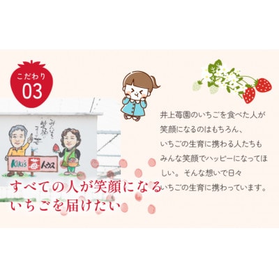 井上苺園　あまおとめ(270g×2パック)【V002540】【配送不可地域：離島・北海道・沖縄県】