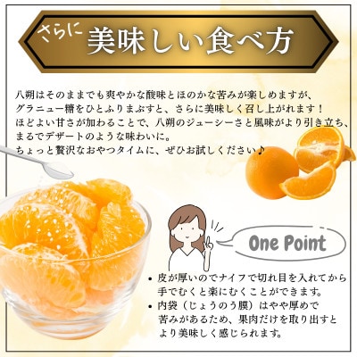 【先行予約】【ご家庭用(キズあり)】大三島産 八朔　約3kg【K003220M3】