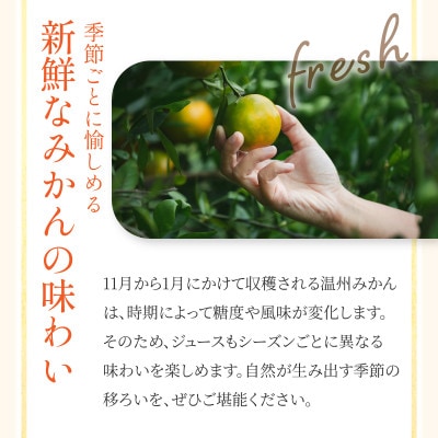 【宗方印】【数量限定】温州みかん 約3kg(家庭用)【K003650K3】