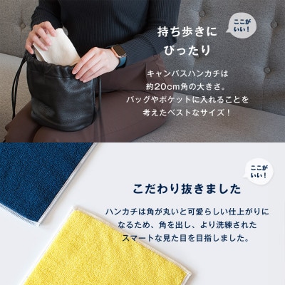 (今治タオル)キャンバスタオル　ハンカチ　3枚セット(グリーン)【I002150HT3G】