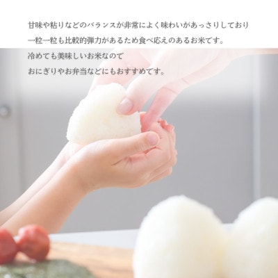 【ふるさと納税】令和7年産 愛媛県産 ヒノヒカリ 10kg 【V003280K10】